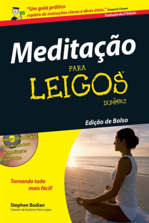 Livro Meditação Para Leigos